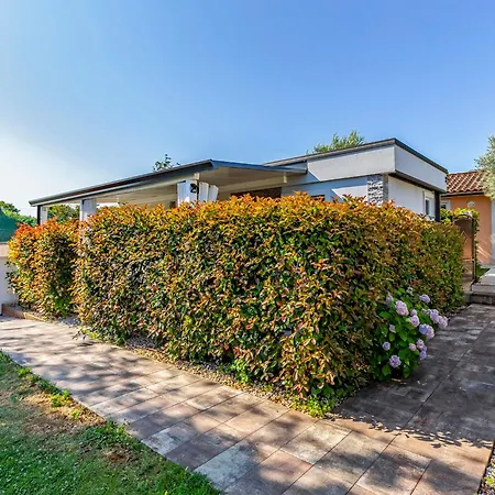 Superior-10 By Interhome Pola