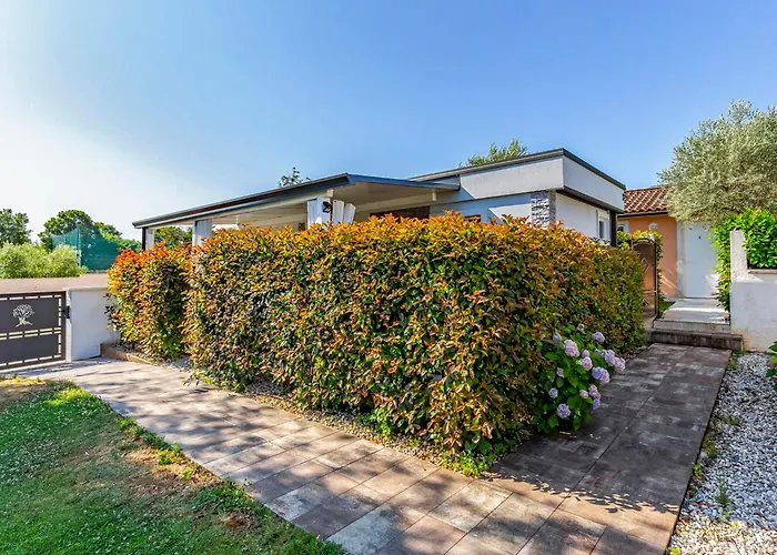 Mobile Superior-10 By Interhome Pula